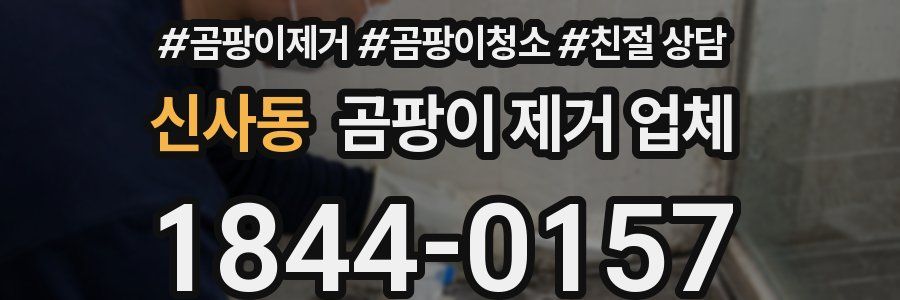 신사동 곰팡이 제거 업체
