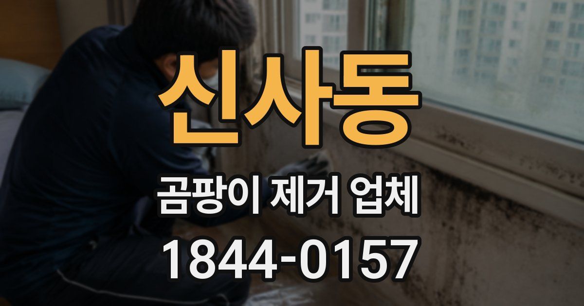 신사동 곰팡이 제거 업체