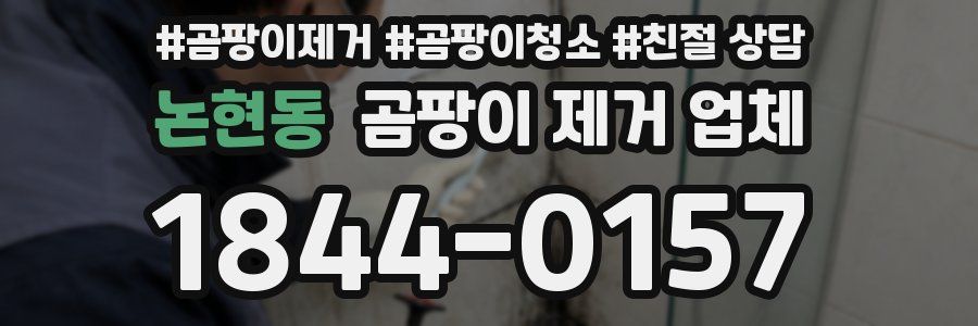 논현동 곰팡이 제거 업체