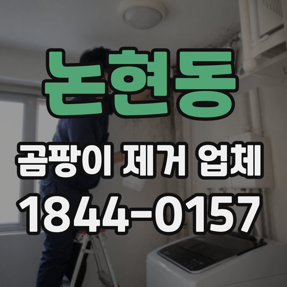 논현동 곰팡이 제거 업체