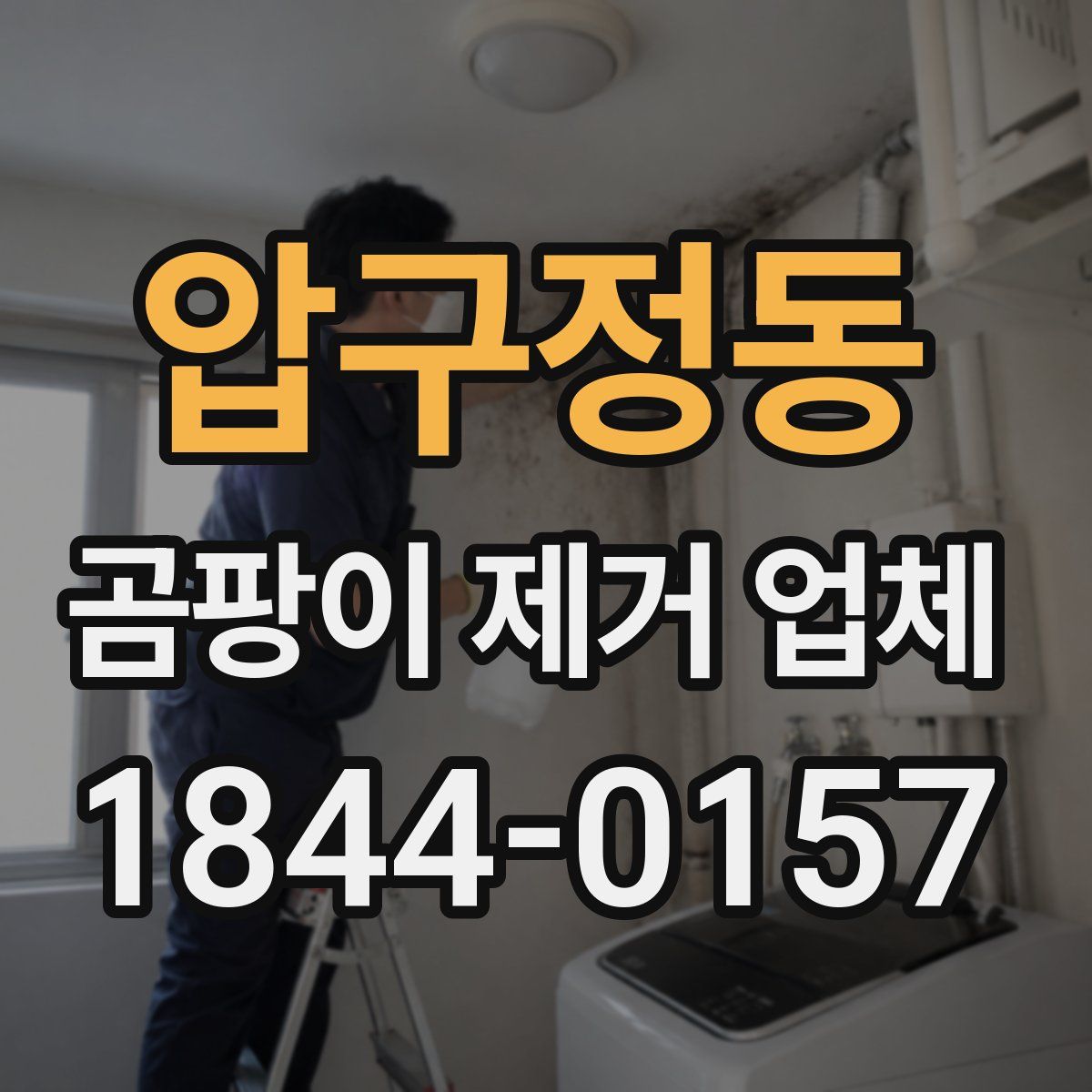 압구정동 곰팡이 제거 업체