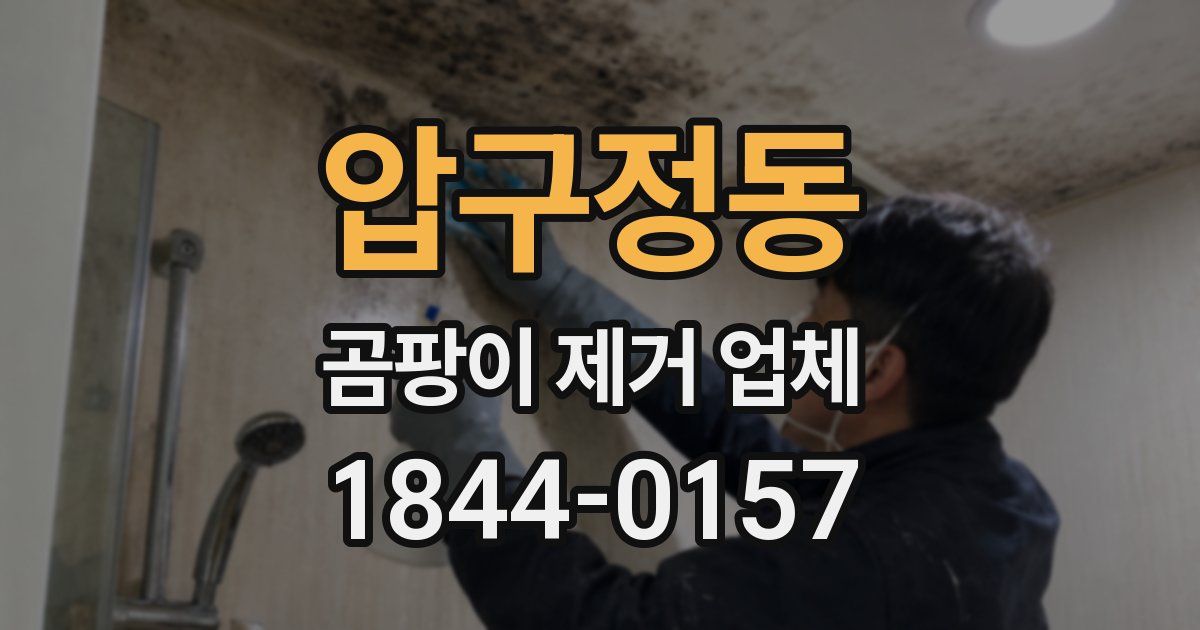 압구정동 곰팡이 제거 업체