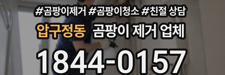 압구정동 곰팡이 제거 업체