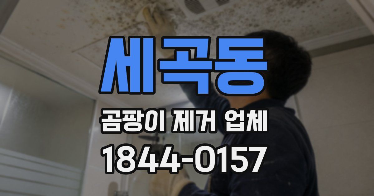 세곡동 곰팡이 제거 업체