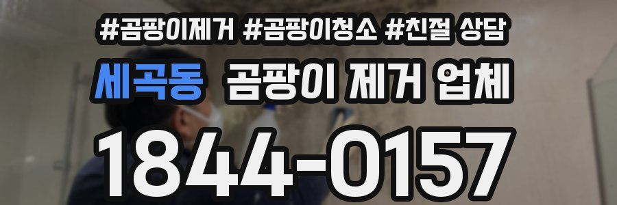 세곡동 곰팡이 제거 업체