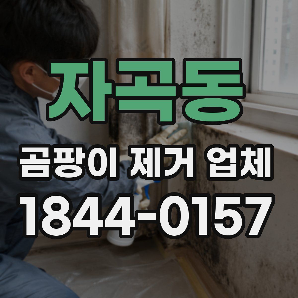 자곡동 곰팡이 제거 업체