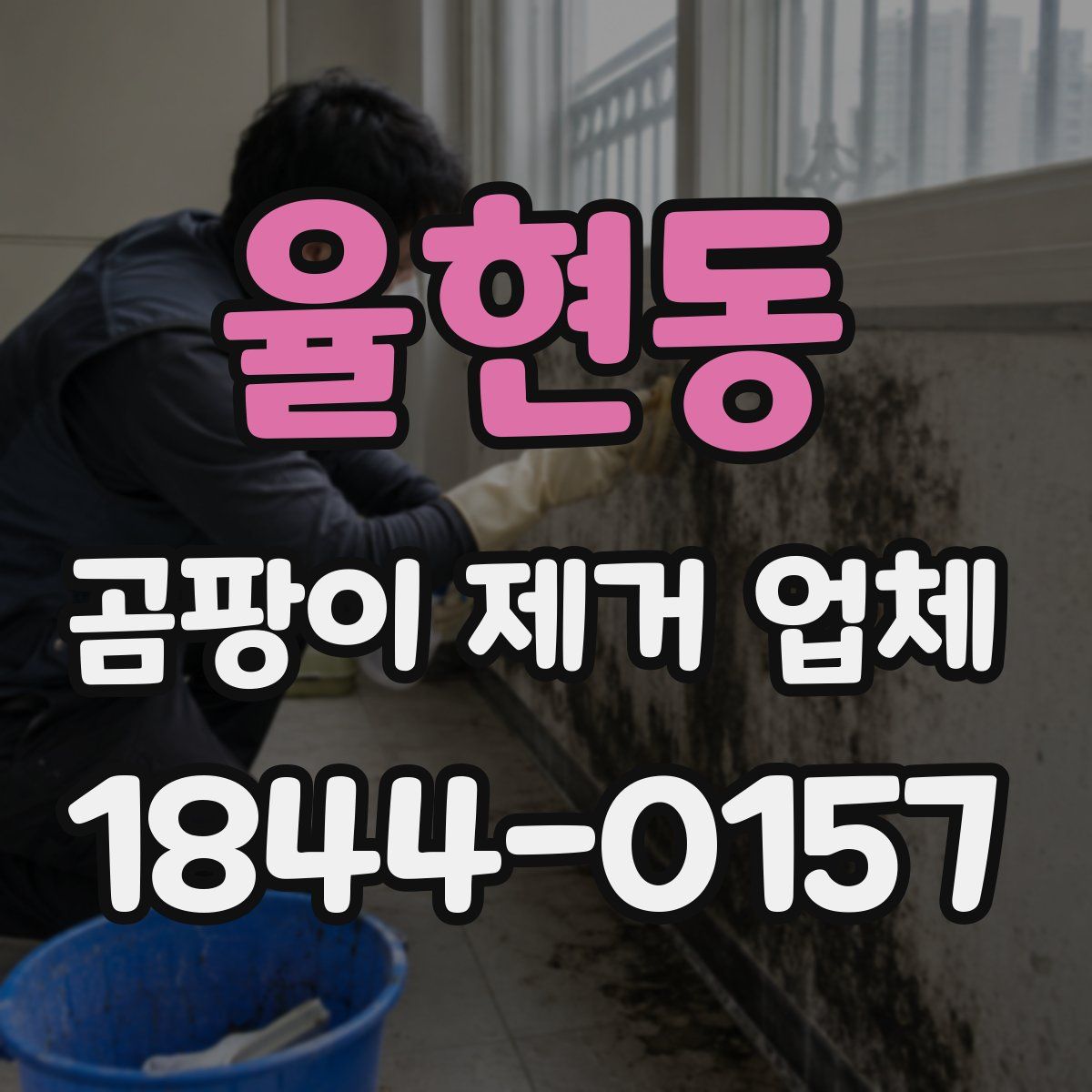 율현동 곰팡이 제거 업체