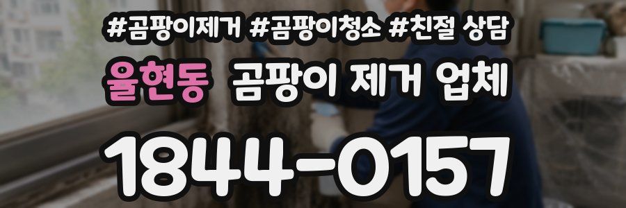 율현동 곰팡이 제거 업체