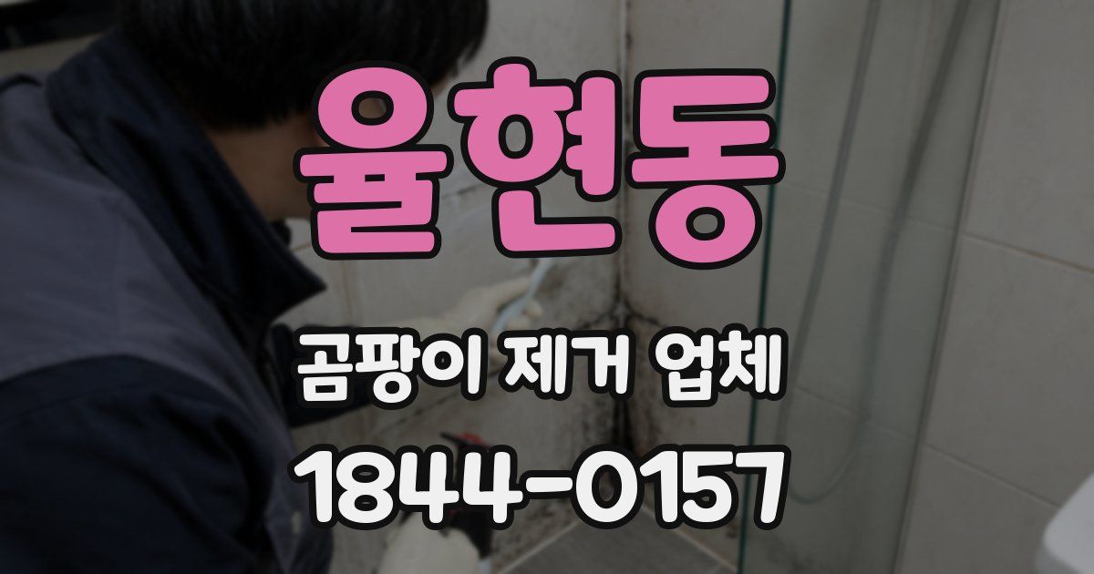 율현동 곰팡이 제거 업체