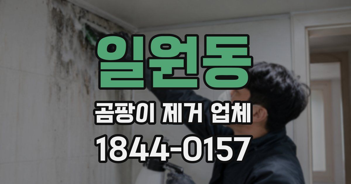 일원동 곰팡이 제거 업체