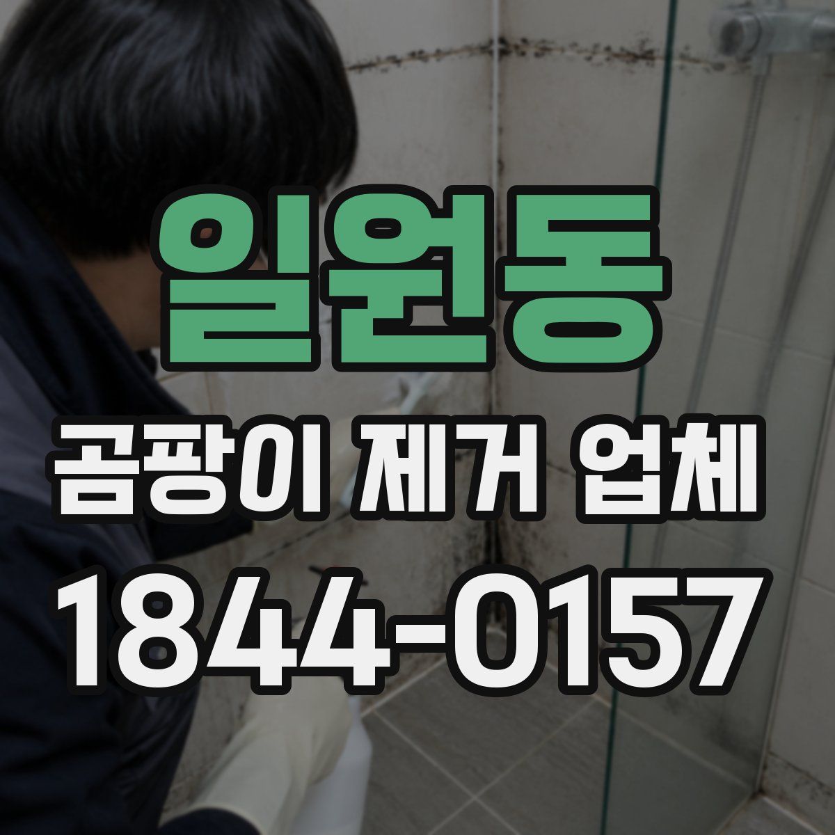 일원동 곰팡이 제거 업체