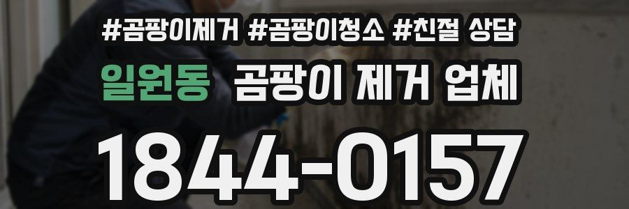 일원동 곰팡이 제거 업체