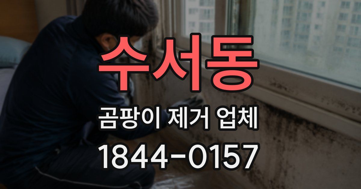 수서동 곰팡이 제거 업체