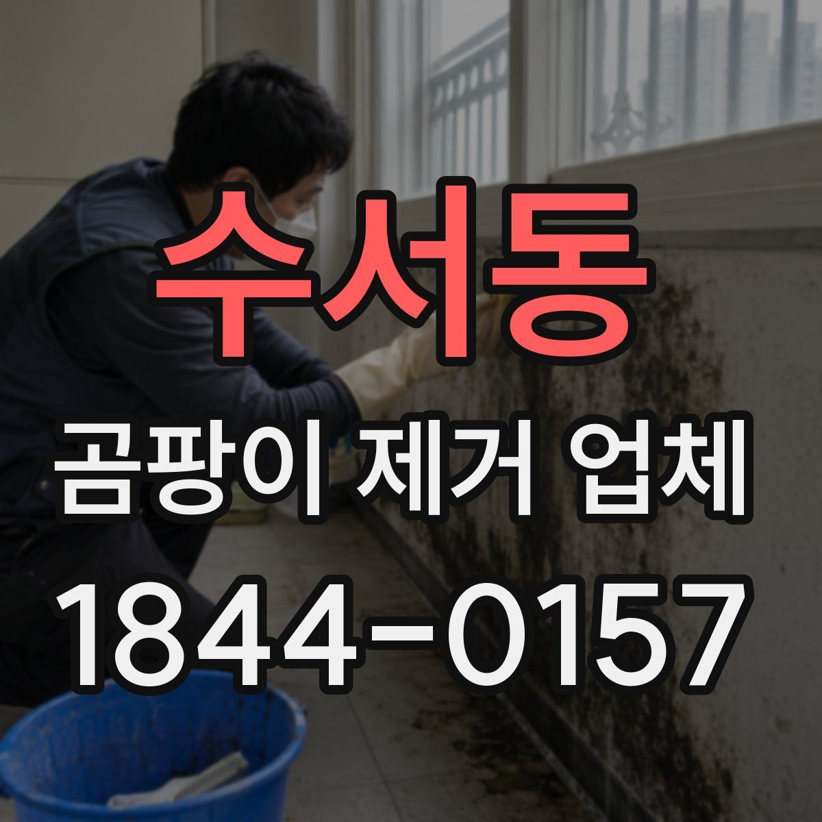 수서동 곰팡이 제거 업체