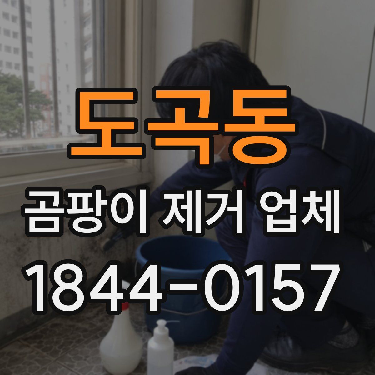 도곡동 곰팡이 제거 업체