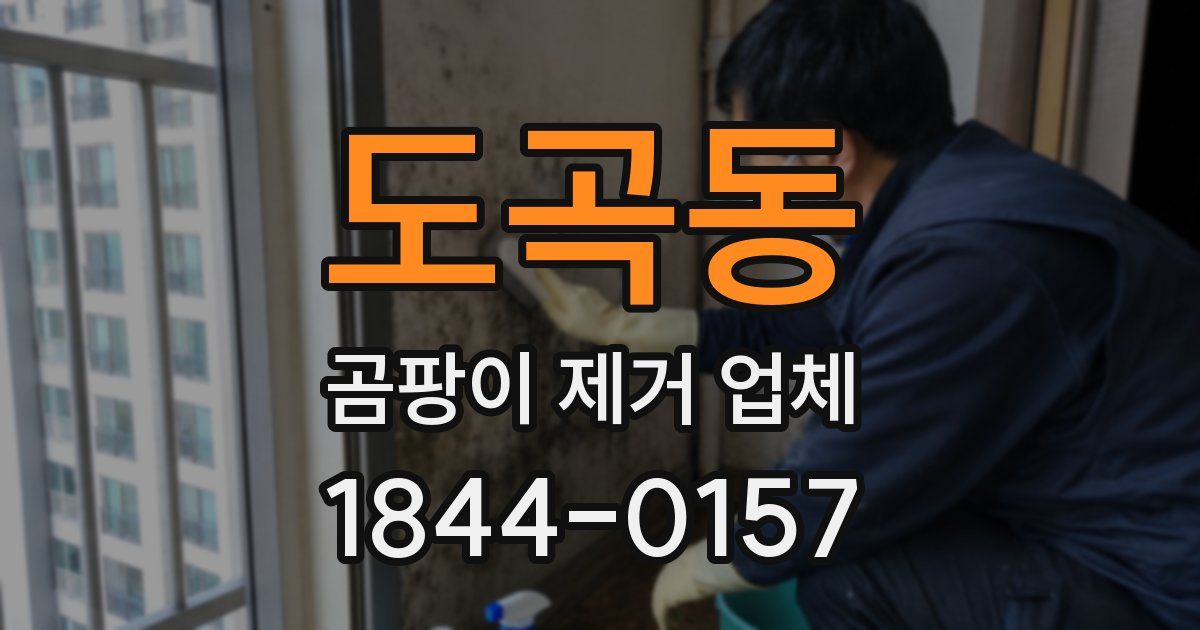 도곡동 곰팡이 제거 업체
