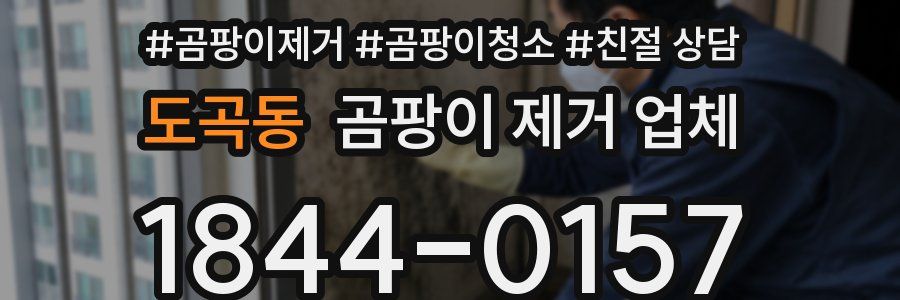 도곡동 곰팡이 제거 업체