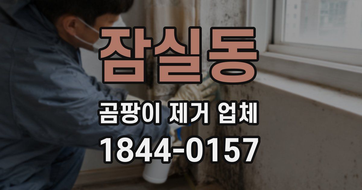잠실동 곰팡이 제거 업체
