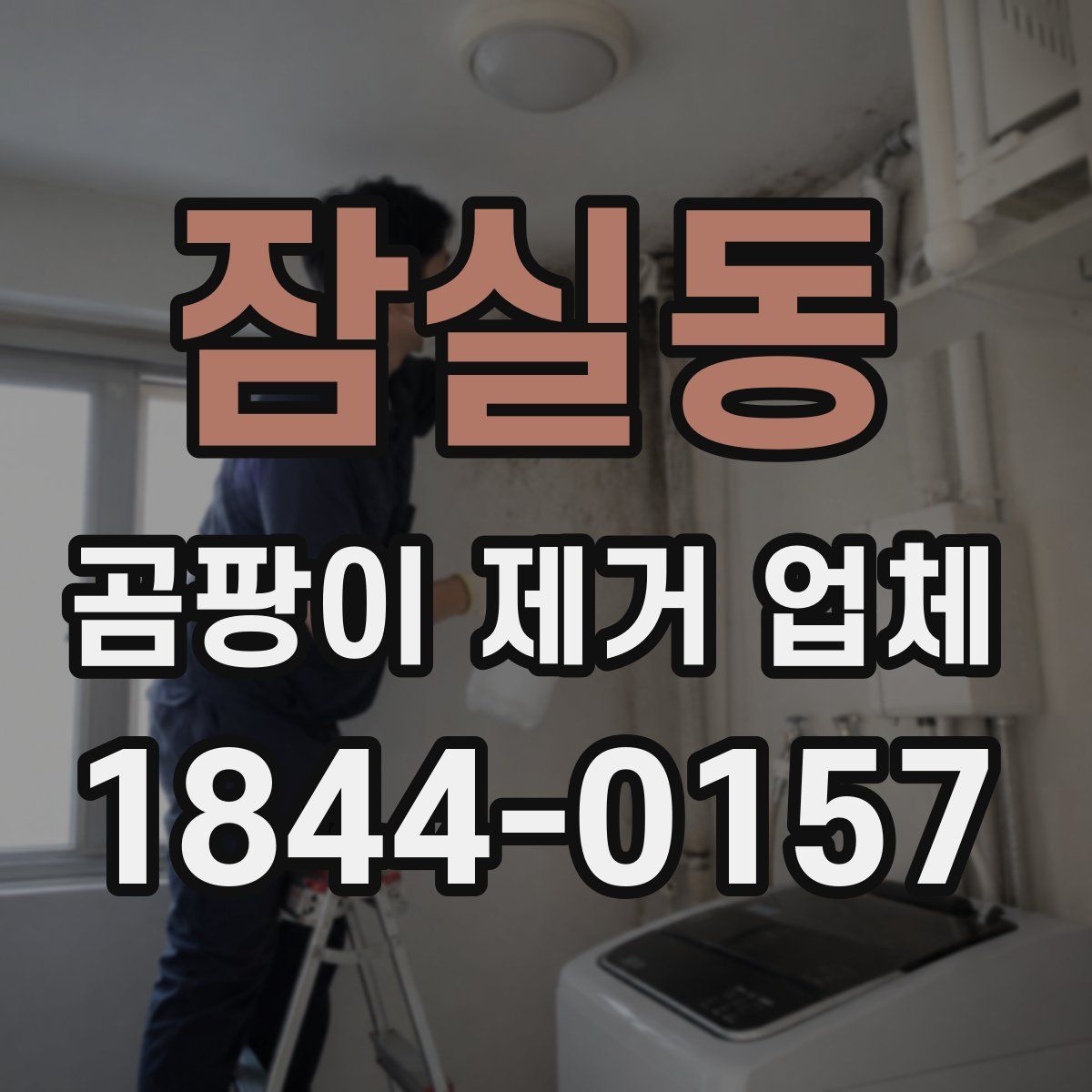 잠실동 곰팡이 제거 업체