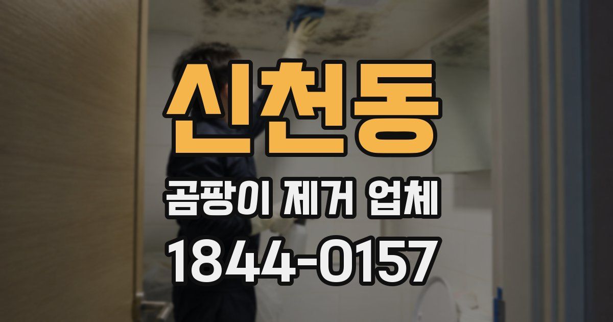 신천동 곰팡이 제거 업체
