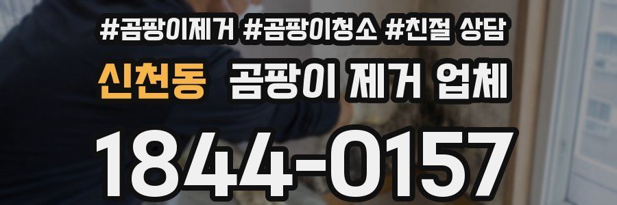 신천동 곰팡이 제거 업체