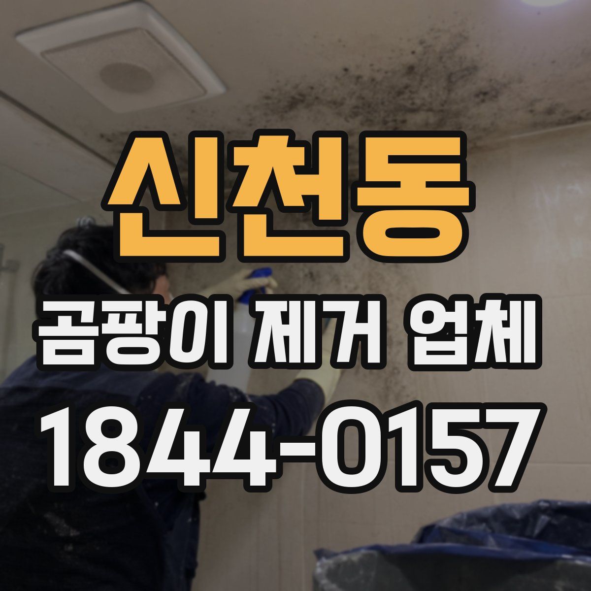 신천동 곰팡이 제거 업체