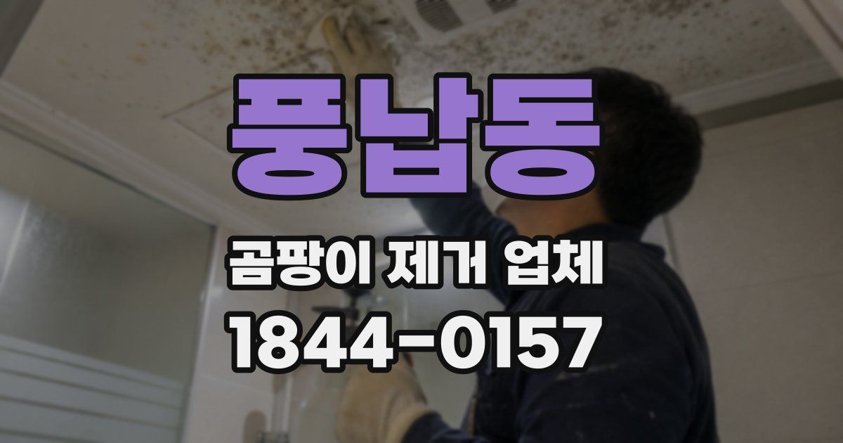 풍납동 곰팡이 제거 업체
