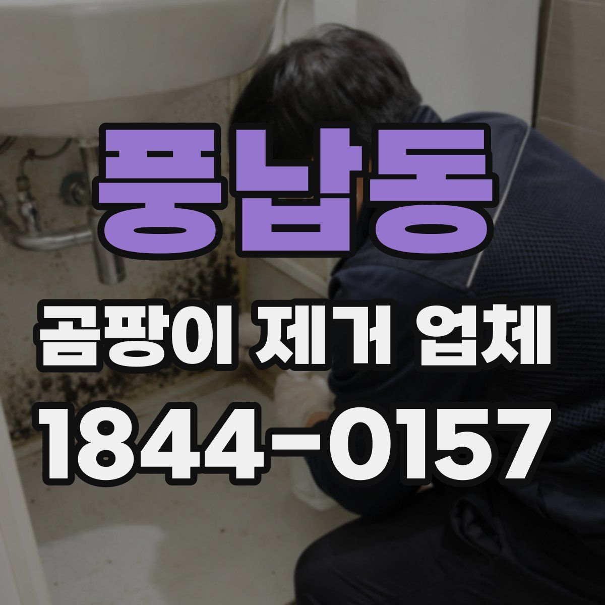 풍납동 곰팡이 제거 업체