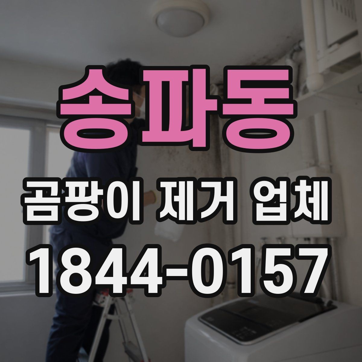 송파동 곰팡이 제거 업체 요청 전 사진으로 확인할 사항