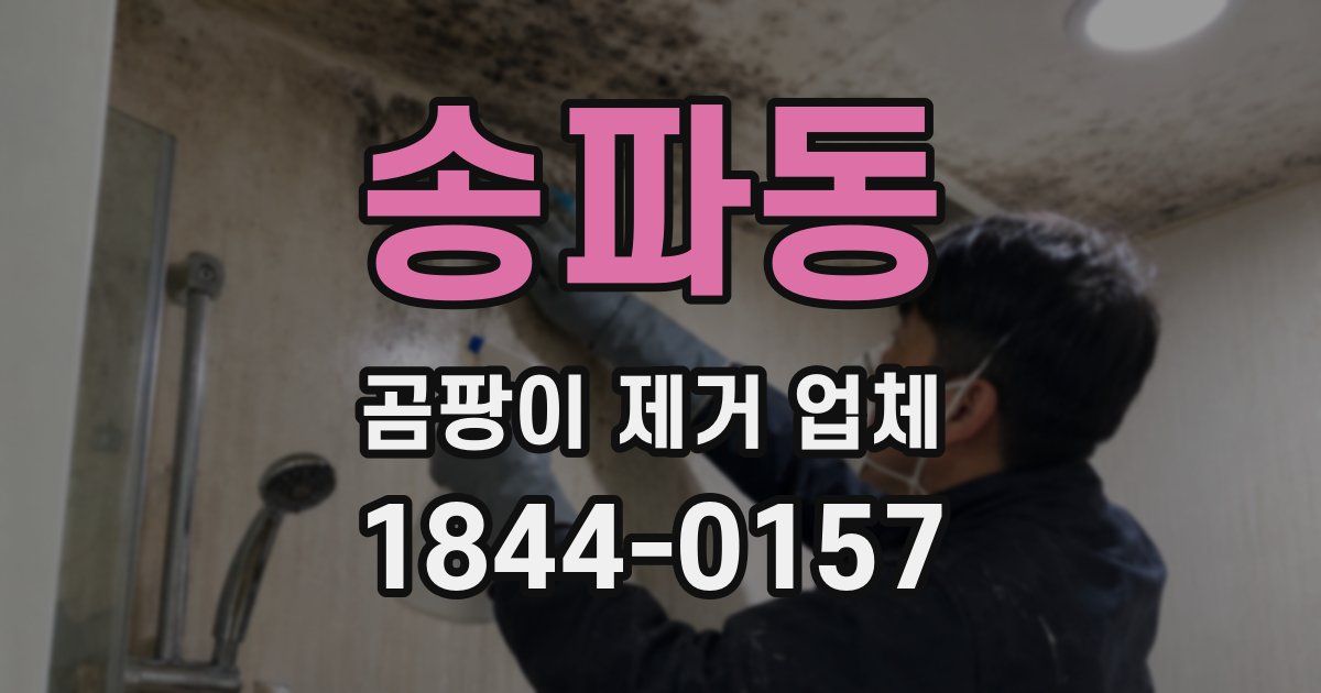 송파동 곰팡이 제거 업체