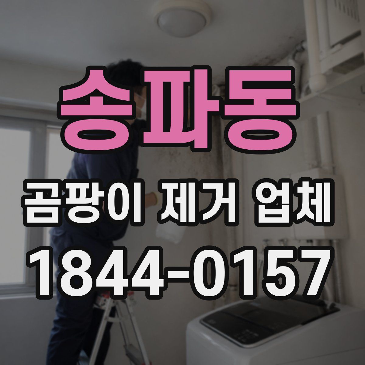 송파동 곰팡이 제거 업체