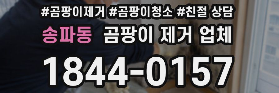 송파동 곰팡이 제거 업체