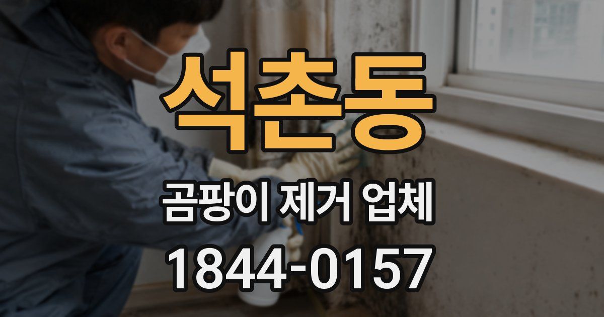 석촌동 곰팡이 제거 업체