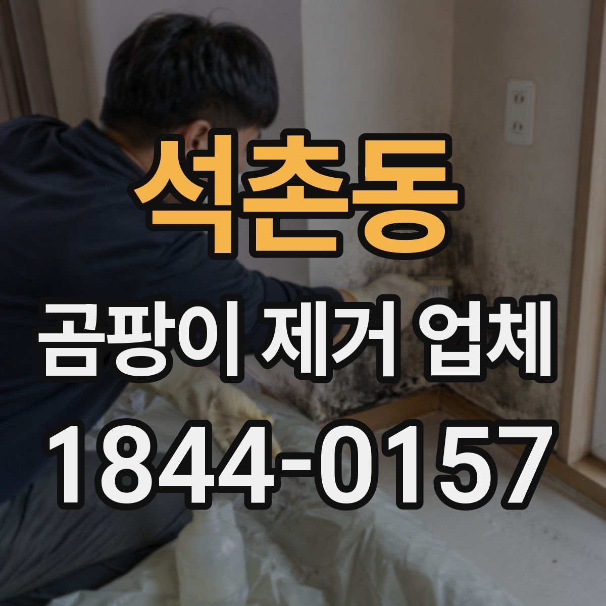 석촌동 곰팡이 제거 업체