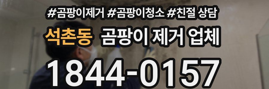 석촌동 곰팡이 제거 업체