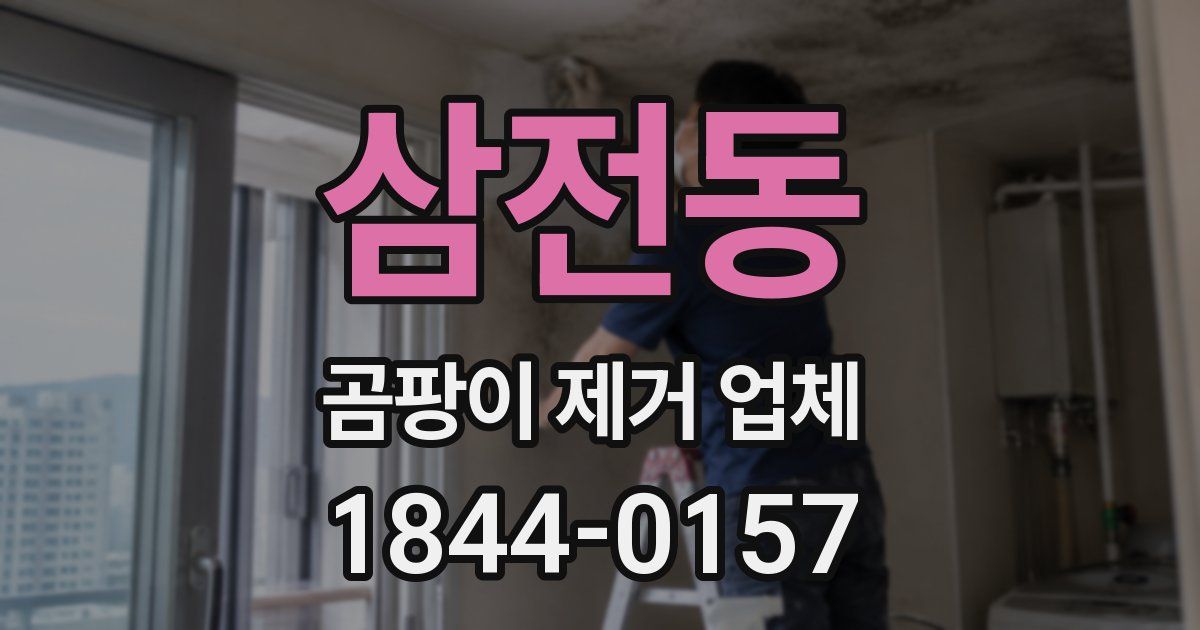 삼전동 곰팡이 제거 업체