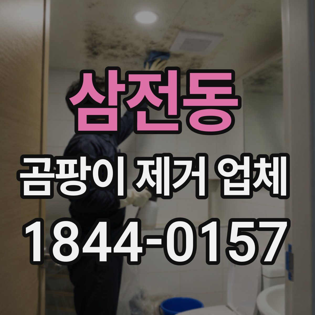삼전동 곰팡이 제거 업체