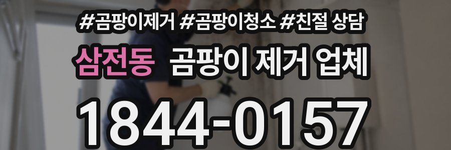 삼전동 곰팡이 제거 업체