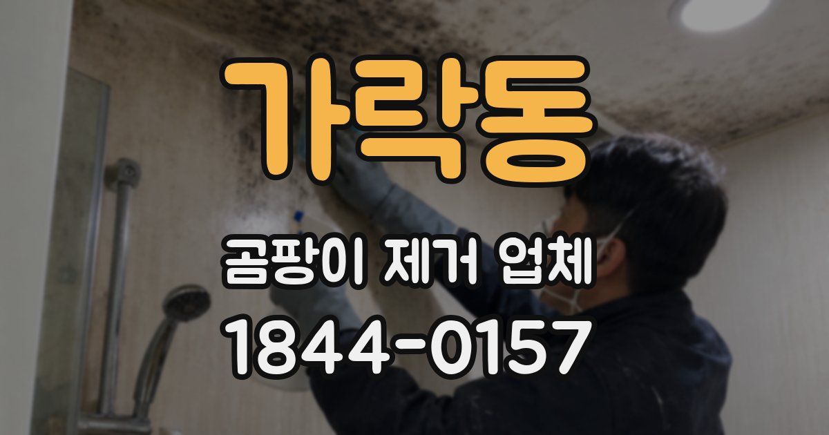 가락동 곰팡이 제거 업체
