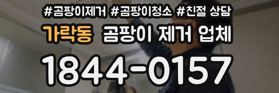 가락동 곰팡이 제거 업체