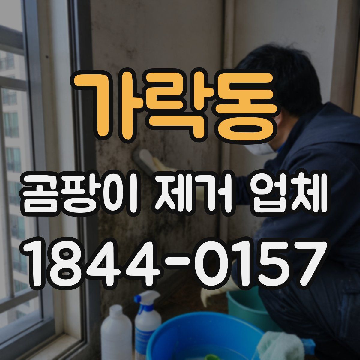 가락동 곰팡이 제거 업체