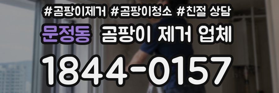 문정동 곰팡이 제거 업체