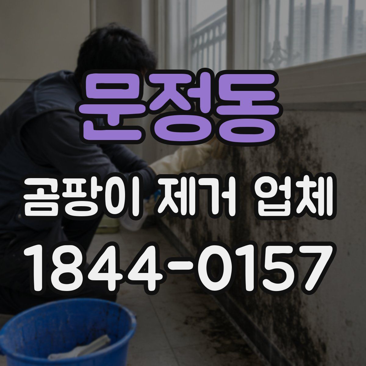 문정동 곰팡이 제거 업체