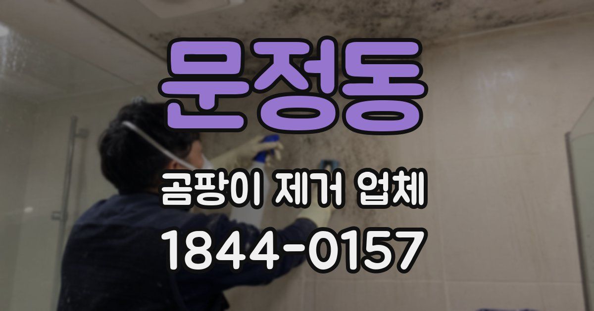 문정동 곰팡이 제거 업체
