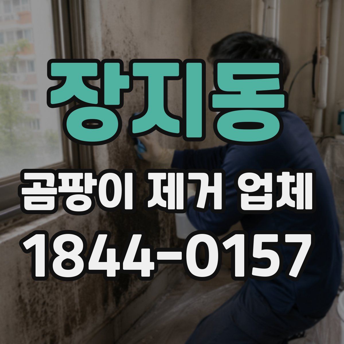 장지동 곰팡이 제거 업체