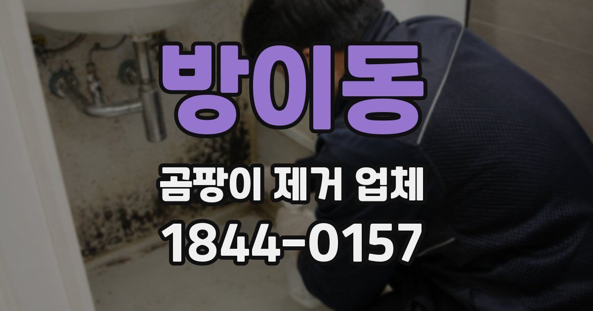 방이동 곰팡이 제거 업체