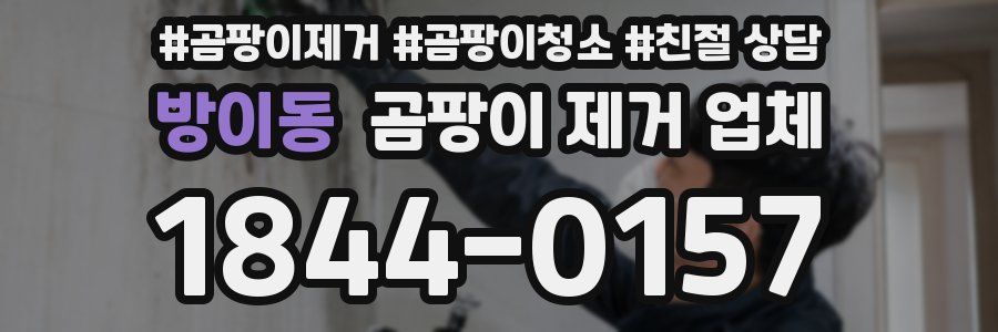 방이동 곰팡이 제거 업체