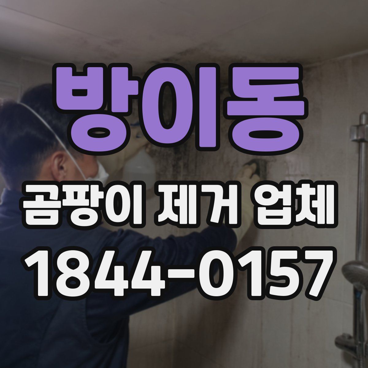 방이동 곰팡이 제거 업체