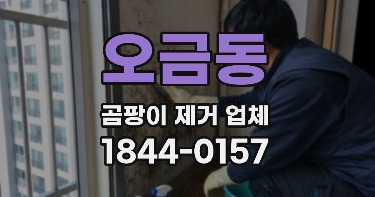 오금동 곰팡이 제거 업체