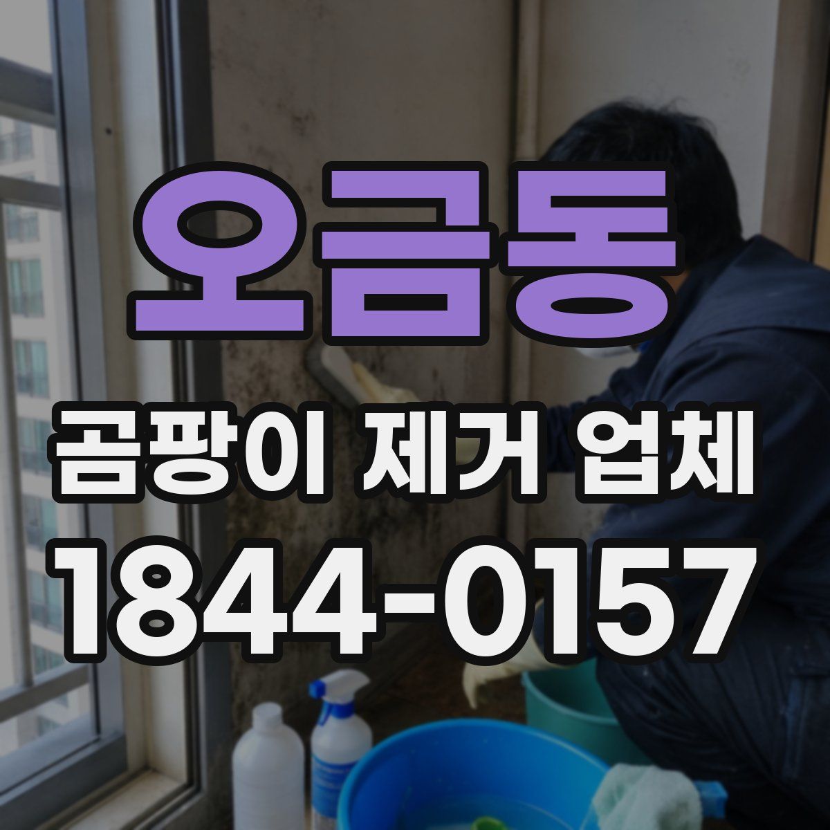 오금동 곰팡이 제거 업체